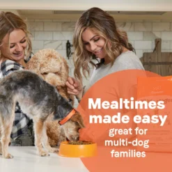 CANIDAE All Life Stages Lamb Meal & Rice Formula Dry Dog Food -ROYAL CANIN Shop 62600 PT7. AC SS1800 V1694443045