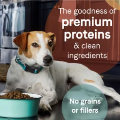 CANIDAE Grain-Free PURE Limited Ingredient Salmon & Sweet Potato Recipe Dry Dog Food & CANIDAE Grain-Free PURE Limited Ingredient Bison, Lentil & Carrot Recipe Dry Dog Food -ROYAL CANIN Shop 632526 PT4. AC SS1800 V1684789730