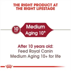 Royal Canin Size Health Nutrition Medium Aging 10+ Dry Dog Food -ROYAL CANIN Shop 63259 PT4. AC SS1800 V1697212369