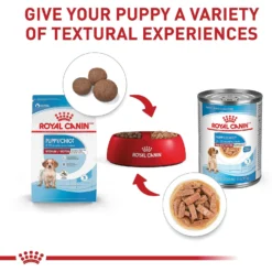 Royal Canin Size Health Nutrition Medium Puppy Dry Dog Food 14 Royal Canin Size Health Nutrition Medium Puppy Dry Dog Food -ROYAL CANIN Shop 63266 PT5. AC SS1800 V1697213803