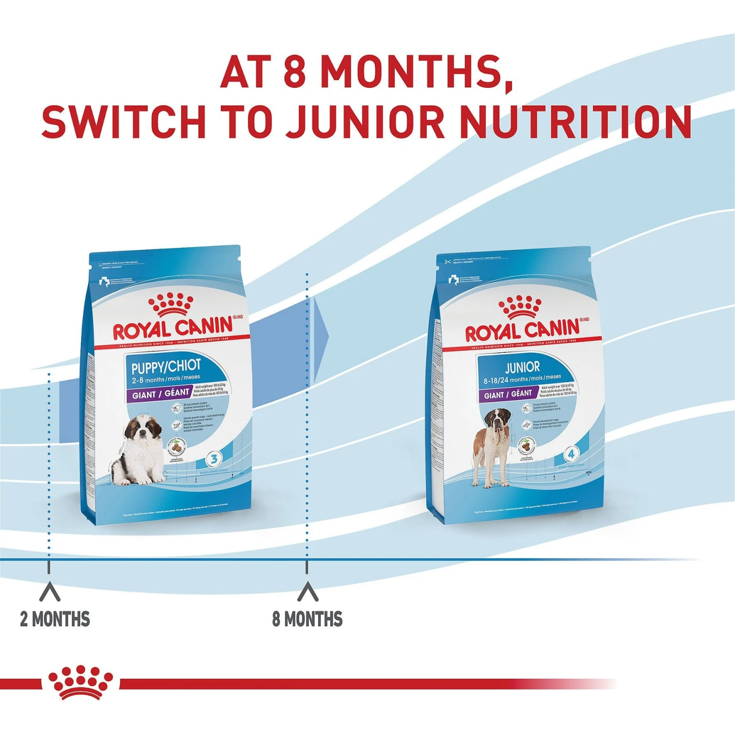 Royal Canin Size Health Nutrition Giant Puppy Dry Dog Food 6 Royal Canin Size Health Nutrition Giant Puppy Dry Dog Food - Image 6