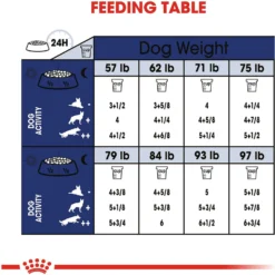 Royal Canin Size Health Nutrition Large Aging 8+ Dry Dog Food -ROYAL CANIN Shop 63298 PT8. AC SS1800 V1697212824