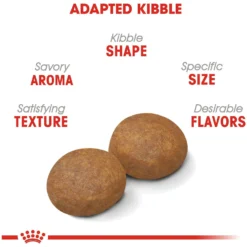 Royal Canin Size Health Nutrition Large Adult 5+ Dry Dog Food -ROYAL CANIN Shop 63336 PT3. AC SS1800 V1697655132