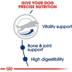 Royal Canin Size Health Nutrition Large Adult 5+ Dry Dog Food -ROYAL CANIN Shop 63336 PT4. AC SS1800 V1697761639