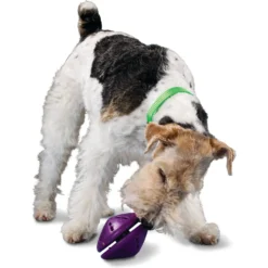 PetSafe Busy Buddy Twist 'n Treat Treat Dispenser Dog Toy 10 PetSafe Busy Buddy Twist 'n Treat Treat Dispenser Dog Toy -ROYAL CANIN Shop 63858 PT2. AC SS1800 V1602333064