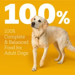 Pedigree With MarroBites Steak & Vegetable Flavor Pieces Adult Dry Dog Food, 36-lb Bag -ROYAL CANIN Shop 639222 PT8. AC SS1800 V1662501294