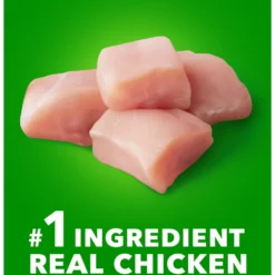 Iams Proactive Health Large Breed Puppy High Protein DHA Formula With Real Chicken Dry Dog Food -ROYAL CANIN Shop 63946 PT2. AC SS1800 V1667865240