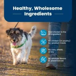 Blue Buffalo Life Protection Formula Small Bite Adult Chicken & Brown Rice Recipe Dry Dog Food -ROYAL CANIN Shop 64682 PT5. AC SS1800 V1689355682