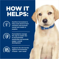 Hill's Prescription Diet Derm Complete Puppy Environmental/Food Sensitivities Rice & Egg Recipe Dry Dog Food, 14.3-lb Bag -ROYAL CANIN Shop 647350 PT5. AC SS1800 V1663712812