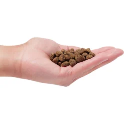 Earthborn Holistic Unrefined Smoked Bison With Ancient Grains & Superfoods Dog Dry Food 9 Earthborn Holistic Unrefined Smoked Bison With Ancient Grains & Superfoods Dog Dry Food -ROYAL CANIN Shop 657630 PT2. AC SS1800 V1682711432