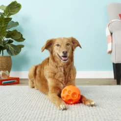 Omega Paw Tricky Treat Ball Dog Toy -ROYAL CANIN Shop 66289 PT3. AC SS1800 V1530911427