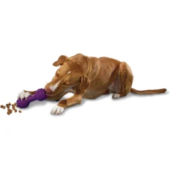 PetSafe Busy Buddy Chuckle Squeaky Treat Dispenser Dog Toy -ROYAL CANIN Shop 67197 PT2. AC SS1800 V1602314161