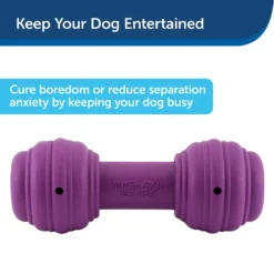 PetSafe Busy Buddy Chuckle Squeaky Treat Dispenser Dog Toy -ROYAL CANIN Shop 67197 PT3. AC SS1800 V1602303964