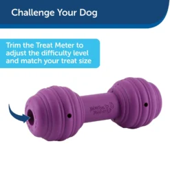 PetSafe Busy Buddy Chuckle Squeaky Treat Dispenser Dog Toy -ROYAL CANIN Shop 67197 PT6. AC SS1800 V1602292561