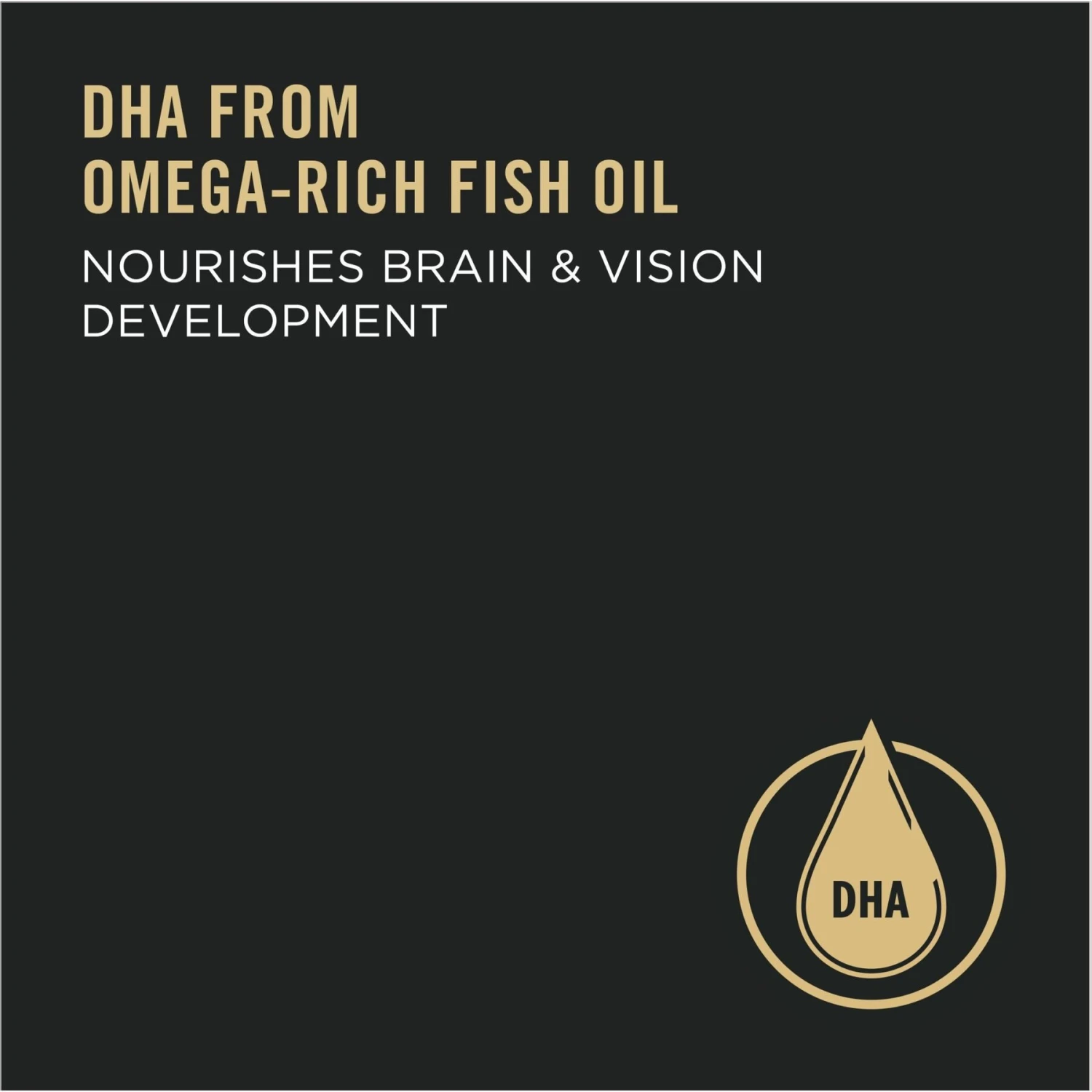 Purina Pro Plan High Protein Chicken & Rice Formula Dry Puppy Food 4 Purina Pro Plan High Protein Chicken & Rice Formula Dry Puppy Food - Image 4