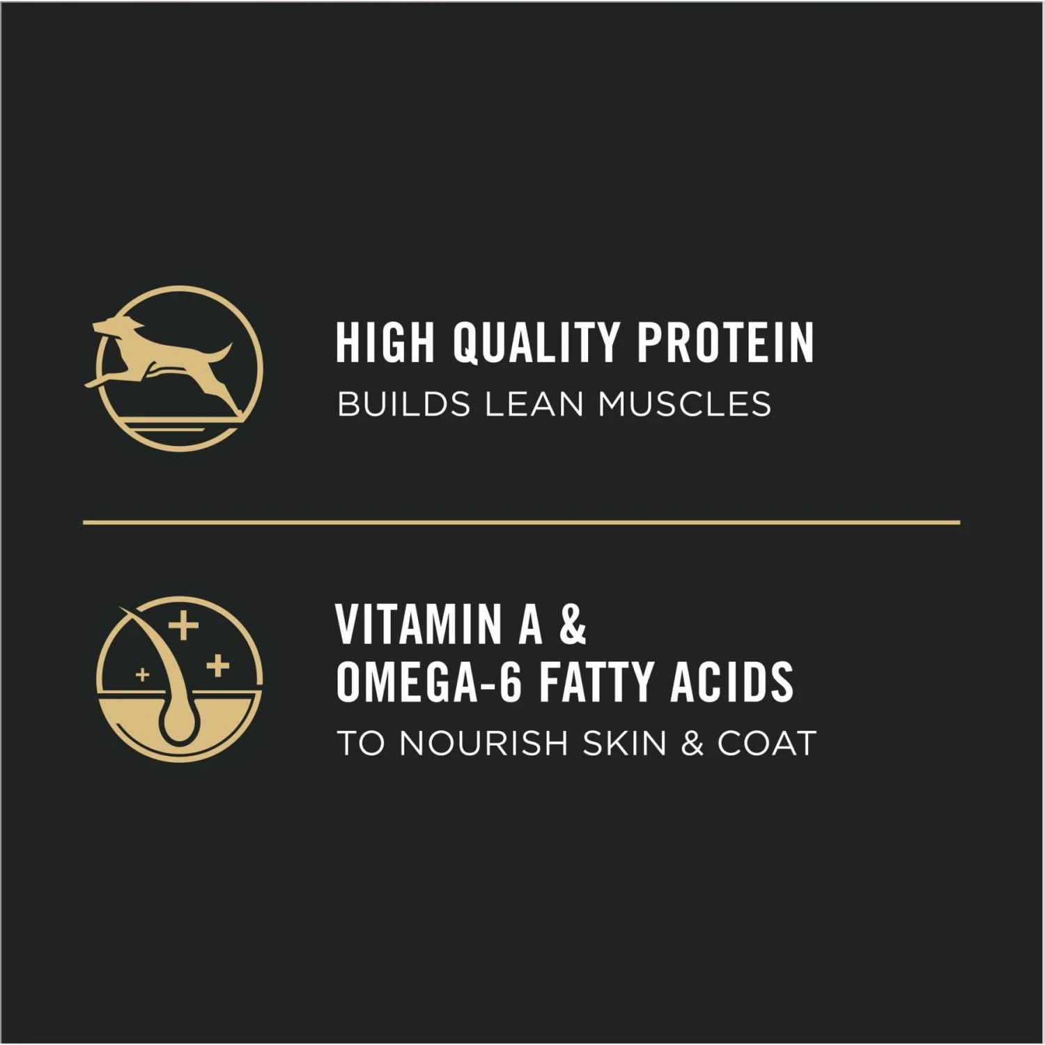 Purina Pro Plan High Protein Chicken & Rice Formula Dry Puppy Food 7 Purina Pro Plan High Protein Chicken & Rice Formula Dry Puppy Food - Image 7