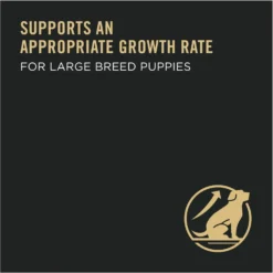 Purina Pro Plan High Protein Chicken & Rice Formula Large Breed Dry Puppy Food 12 Purina Pro Plan High Protein Chicken & Rice Formula Large Breed Dry Puppy Food -ROYAL CANIN Shop 67488 PT3. AC SS1800 V1683575063