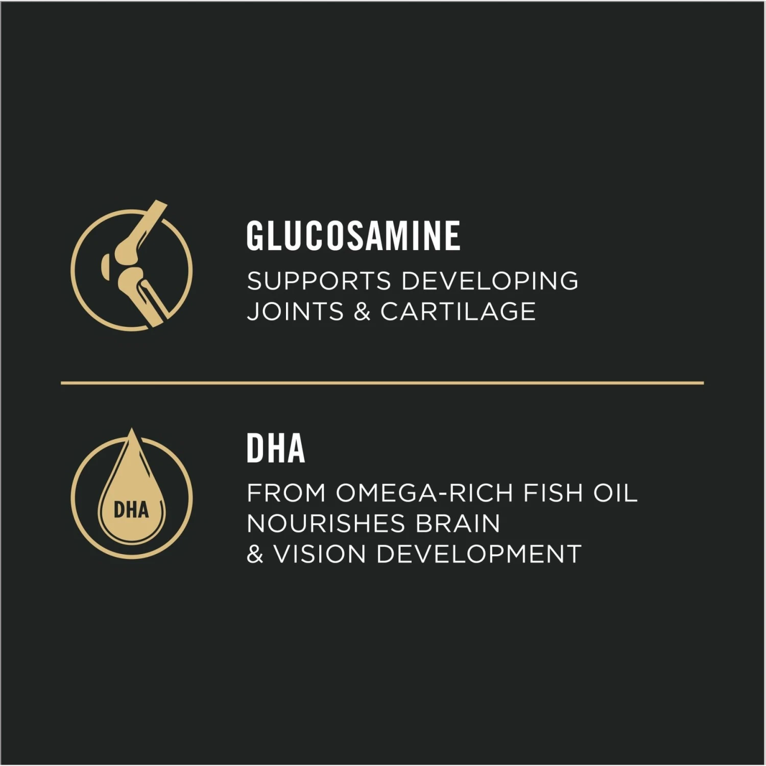 Purina Pro Plan High Protein Chicken & Rice Formula Large Breed Dry Puppy Food 7 Purina Pro Plan High Protein Chicken & Rice Formula Large Breed Dry Puppy Food - Image 7