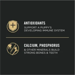 Purina Pro Plan High Protein Chicken & Rice Formula Large Breed Dry Puppy Food 16 Purina Pro Plan High Protein Chicken & Rice Formula Large Breed Dry Puppy Food -ROYAL CANIN Shop 67488 PT7. AC SS1800 V1683575011