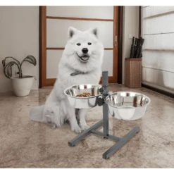 Iconic Pet Adjustable Stainless Steel Elevated Dog Bowl, H Design 15 Iconic Pet Adjustable Stainless Steel Elevated Dog Bowl, H Design -ROYAL CANIN Shop 701886 PT6. AC SS1800 V1668110956