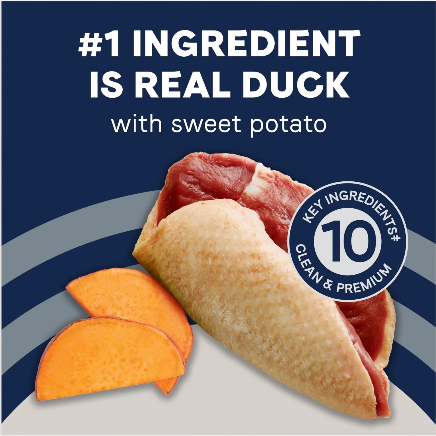 CANIDAE Pure Goodness Real Duck & Sweet Potato Recipe Dry Dog Food 5 CANIDAE Pure Goodness Real Duck & Sweet Potato Recipe Dry Dog Food - Image 5