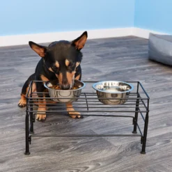 PetRageous Designs Set The Table Non-Skid Pet Bowl Wire Stand -ROYAL CANIN Shop 70410 PT7. AC SS1800 V1523374498