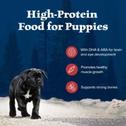 Blue Buffalo Wilderness Rocky Mountain Recipe Puppy High Protein Natural Red Meat & Grain Dry Dog Food -ROYAL CANIN Shop 711310 PT2. AC SS1800 V1694547716