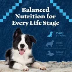 Blue Buffalo Wilderness Rocky Mountain Recipe Puppy High Protein Natural Red Meat & Grain Dry Dog Food -ROYAL CANIN Shop 711310 PT6. AC SS1800 V1694549407