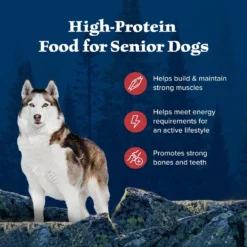 Blue Buffalo Wilderness Rocky Mountain Recipe Senior High Protein Natural Red Meat & Grain Dry Dog Food, 28-lb Bag -ROYAL CANIN Shop 711326 PT3. AC SS1800 V1694547714