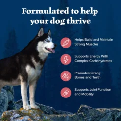 Blue Buffalo Wilderness Adult High Protein Natural Salmon & Wholesome Grains Dry Dog Food -ROYAL CANIN Shop 733494 PT3. AC SS1800 V1694550811
