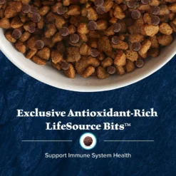 Blue Buffalo Wilderness Puppy High Protein Natural Chicken & Wholesome Grains Dry Dog Food -ROYAL CANIN Shop 733510 PT6. AC SS1800 V1694550752