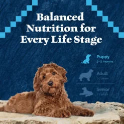 Blue Buffalo Wilderness Puppy High Protein Natural Chicken & Wholesome Grains Dry Dog Food -ROYAL CANIN Shop 733510 PT7. AC SS1800 V1694550813