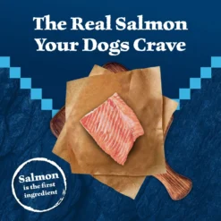 Blue Buffalo Wilderness Large Breed Adult High Protein Natural Salmon & Wholesome Grains Dry Dog Food, 28-lb Bag -ROYAL CANIN Shop 735518 PT2. AC SS1800 V1694547774