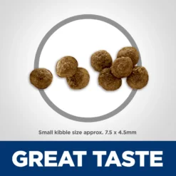 Hill's Science Diet Adult Small & Mini Lamb Meal & Rice Recipe Dry Dog Food -ROYAL CANIN Shop 74229 PT2. AC SS1800 V1692734858