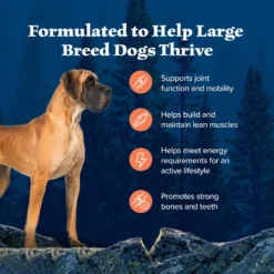 Blue Buffalo Wilderness Large Breed Adult High Protein Natural Chicken & Wholesome Grains Dry Dog Food -ROYAL CANIN Shop 748294 PT3. AC SS1800 V1694549409