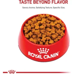 Featured Products -ROYAL CANIN Shop 75164 PT1. AC SS1800 V1697142942