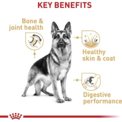 Royal Canin Breed Health Nutrition German Shepherd Adult Dry Dog Food -ROYAL CANIN Shop 75164 PT4. AC SS1800 V1697212367