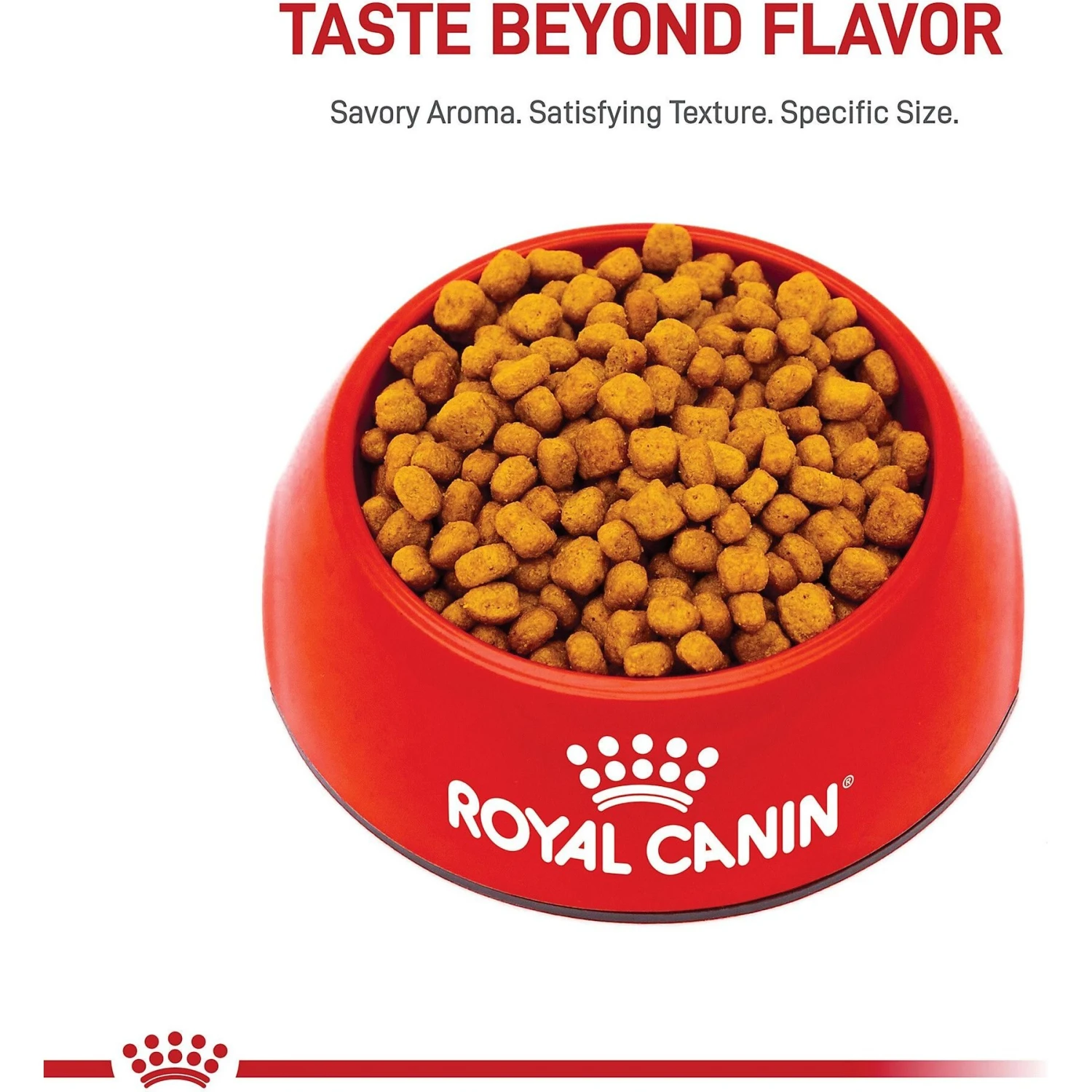 Royal Canin Breed Health Nutrition Chihuahua Adult Dry Dog Food 2 Royal Canin Breed Health Nutrition Chihuahua Adult Dry Dog Food - Image 2