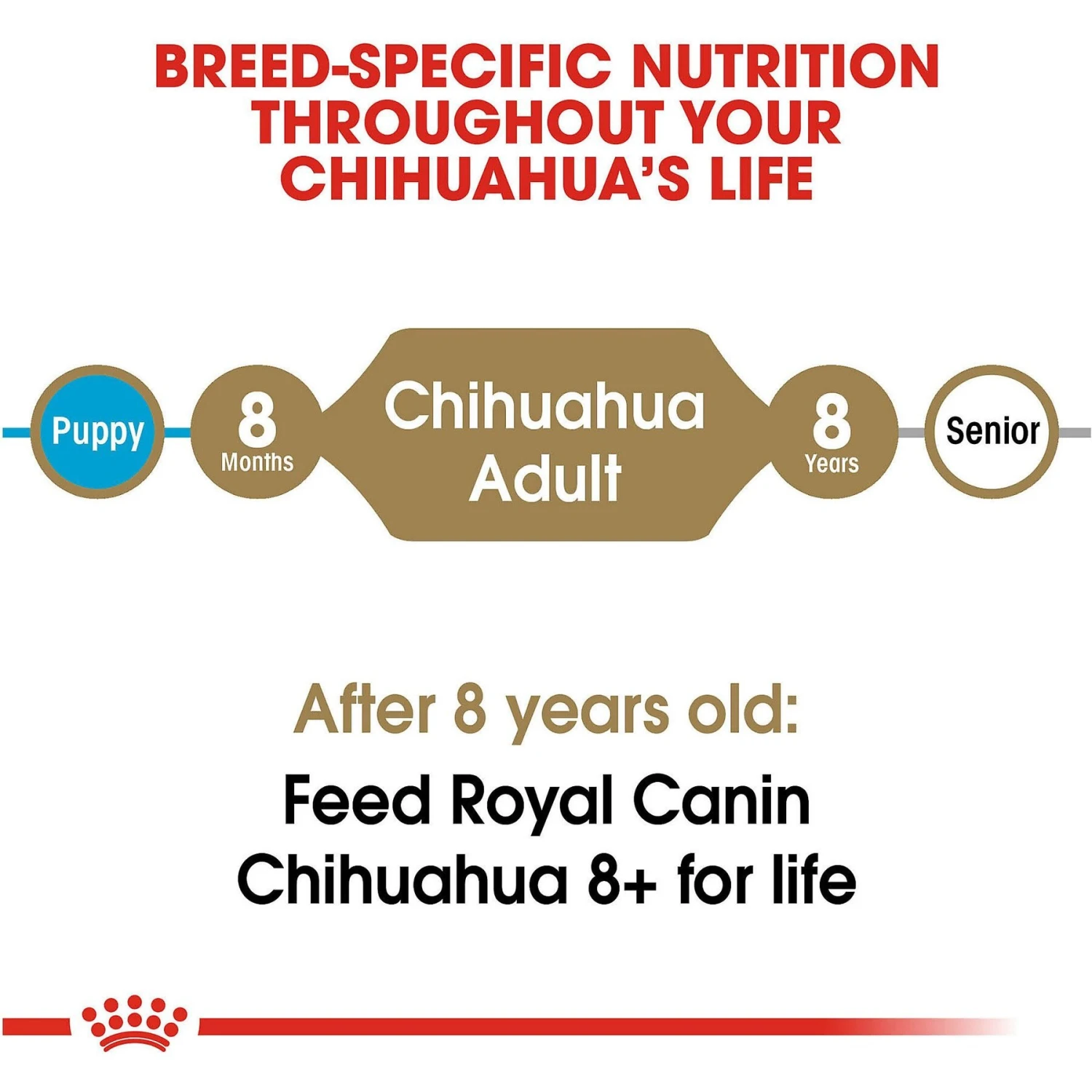 Royal Canin Breed Health Nutrition Chihuahua Adult Dry Dog Food 7 Royal Canin Breed Health Nutrition Chihuahua Adult Dry Dog Food - Image 7