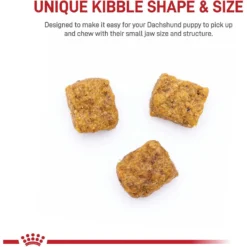 Royal Canin Breed Health Nutrition Dachshund Puppy Dry Dog Food -ROYAL CANIN Shop 75441 PT3. AC SS1800 V1697216175