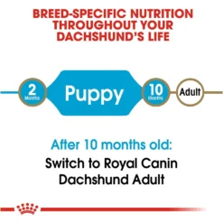 Royal Canin Breed Health Nutrition Dachshund Puppy Dry Dog Food -ROYAL CANIN Shop 75441 PT6. AC SS1800 V1697212396