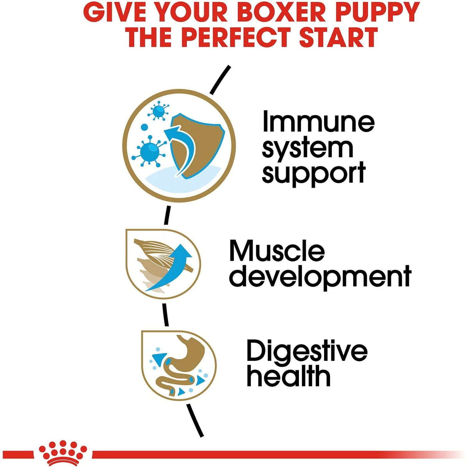 Royal Canin Breed Health Nutrition Boxer Puppy Dry Dog Food 5 Royal Canin Breed Health Nutrition Boxer Puppy Dry Dog Food - Image 5