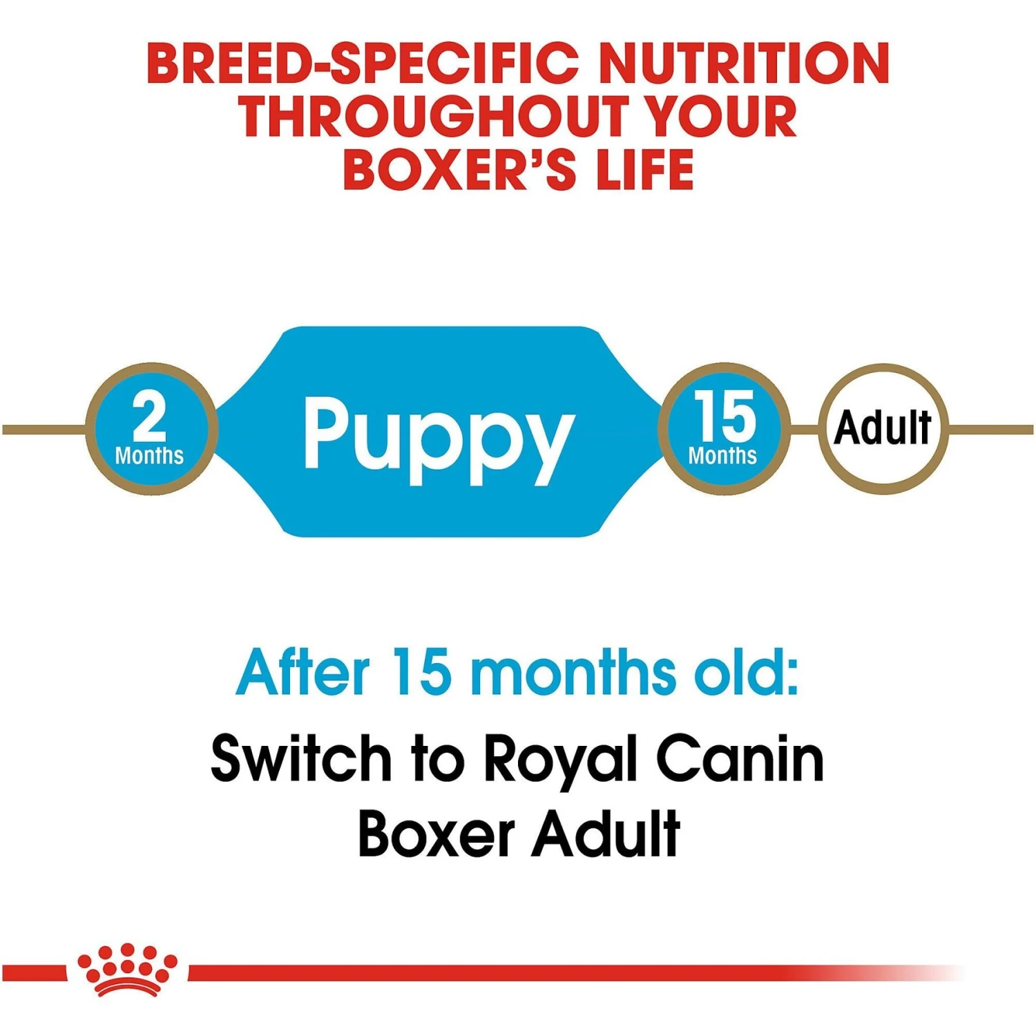Royal Canin Breed Health Nutrition Boxer Puppy Dry Dog Food 7 Royal Canin Breed Health Nutrition Boxer Puppy Dry Dog Food - Image 7