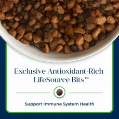 Blue Buffalo Basics Skin & Stomach Care Grain-Free Formula Lamb & Potato Recipe Adult Dry Dog Food -ROYAL CANIN Shop 75659 PT6. AC SS1800 V1646274392