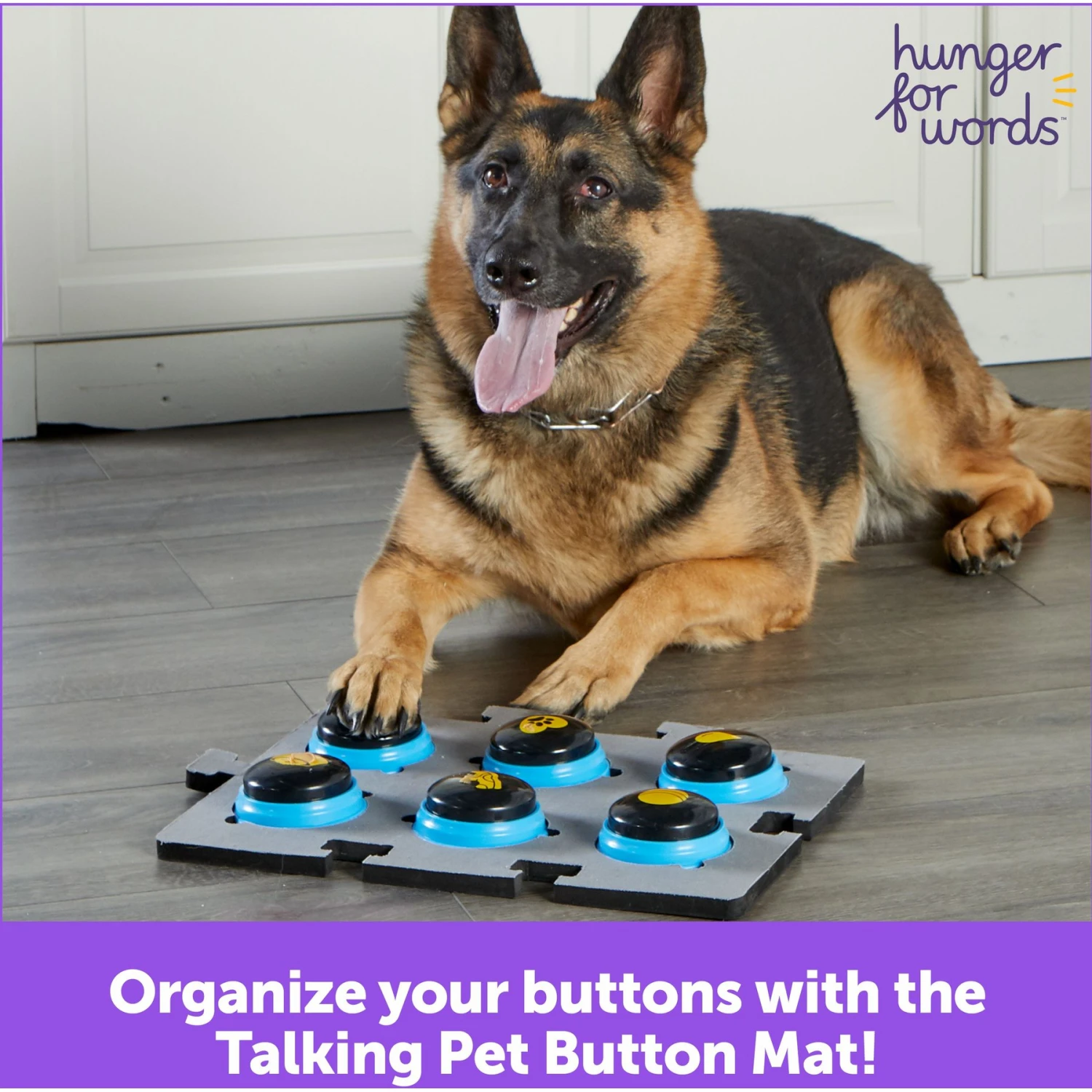 Hunger For Words Talking Pet Button Mat Dog Toy & Hunger For Words Talking Pet Starter Set Dog Toy 9 Hunger For Words Talking Pet Button Mat Dog Toy & Hunger For Words Talking Pet Starter Set Dog Toy - Image 9