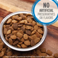 Iams Proactive Health MiniChunks Small Kibble Adult Chicken & Whole Grain Dry Dog Food & Iams Proactive Health Healthy Weight Management Low Fat Formula With Real Chicken Adult Dry Dog Food -ROYAL CANIN Shop 761646 PT8. AC SS1800 V1674599283