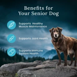 Blue Buffalo Blue Wilderness Premier Blend With Meaty Cuts Chicken Senior Dry Dog Food -ROYAL CANIN Shop 761758 PT6. AC SS1800 V1680630716