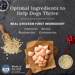 Blue Buffalo Blue Wilderness Premier Blend With Meaty Cuts Chicken Large Breed Adult Dry Dog Food, 24-lb Bag -ROYAL CANIN Shop 761774 PT3. AC SS1800 V1680630144