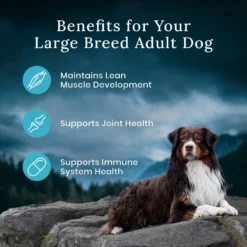 Blue Buffalo Blue Wilderness Premier Blend With Meaty Cuts Chicken Large Breed Adult Dry Dog Food, 24-lb Bag -ROYAL CANIN Shop 761774 PT6. AC SS1800 V1680630143