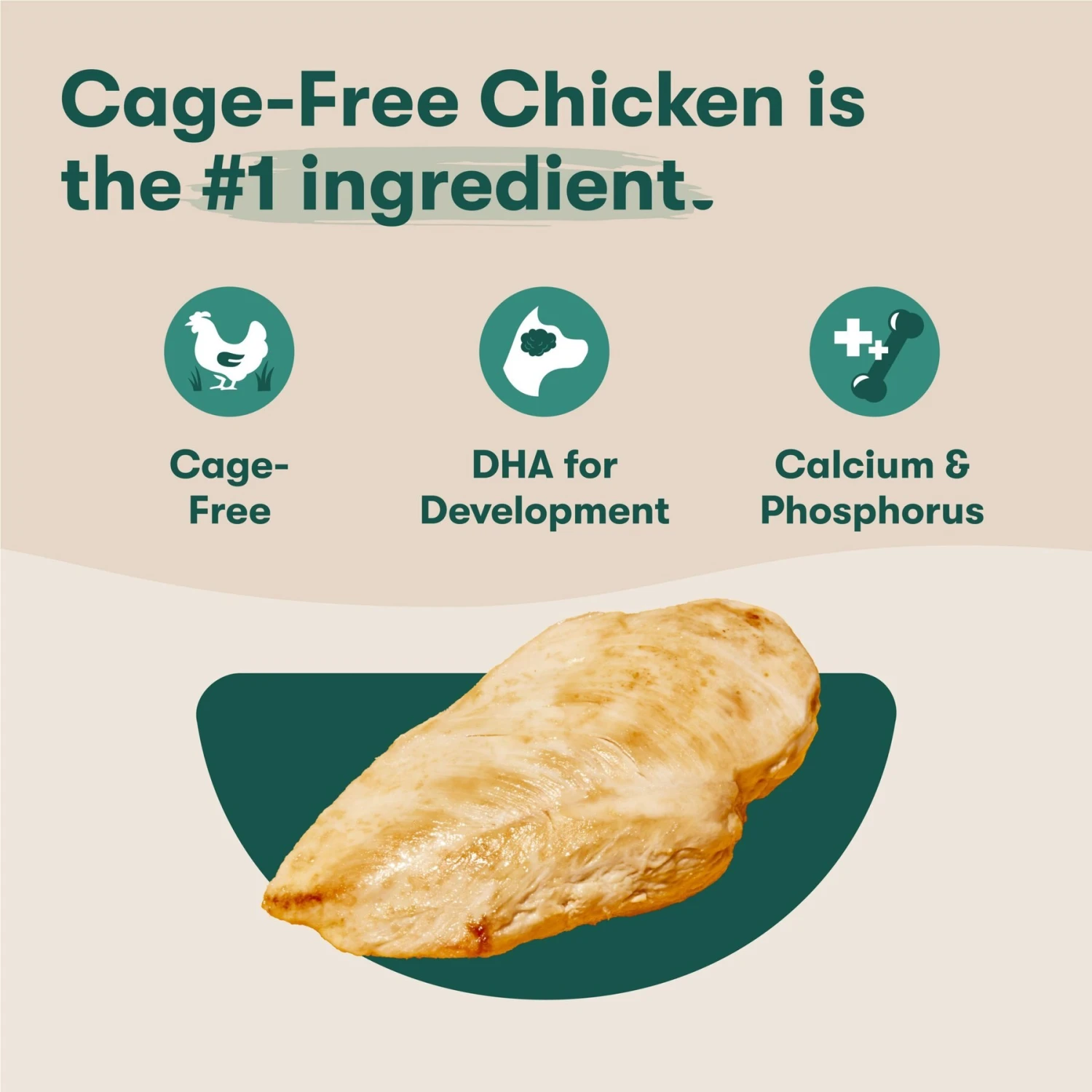 Jinx Jr Whole Grain Chicken Recipe Natural Dry Puppy Food, 4-lb Bag 3 Jinx Jr Whole Grain Chicken Recipe Natural Dry Puppy Food, 4-lb Bag - Image 3